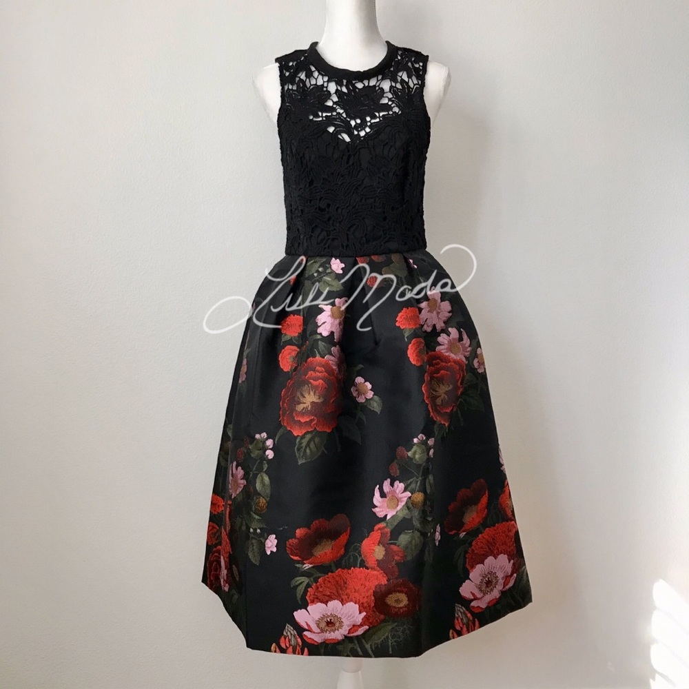 NEW Hutch Lace Jacquard Cocktail Tea Dress 4